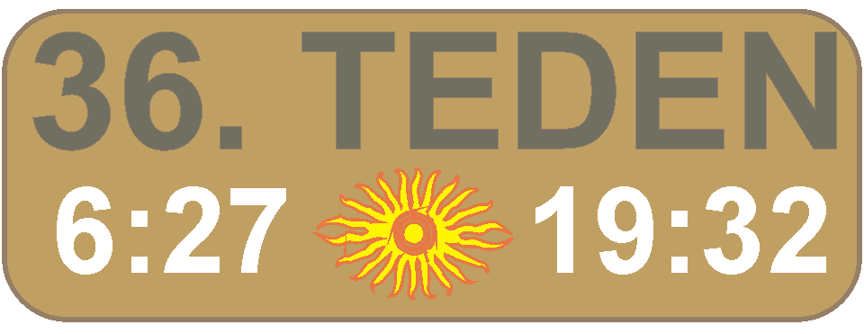 JUTRANJA in VEERNA molitev