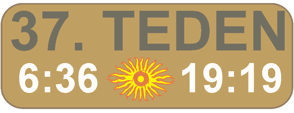 JUTRANJA in VEERNA molitev