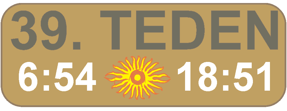 JUTRANJA in VEERNA molitev