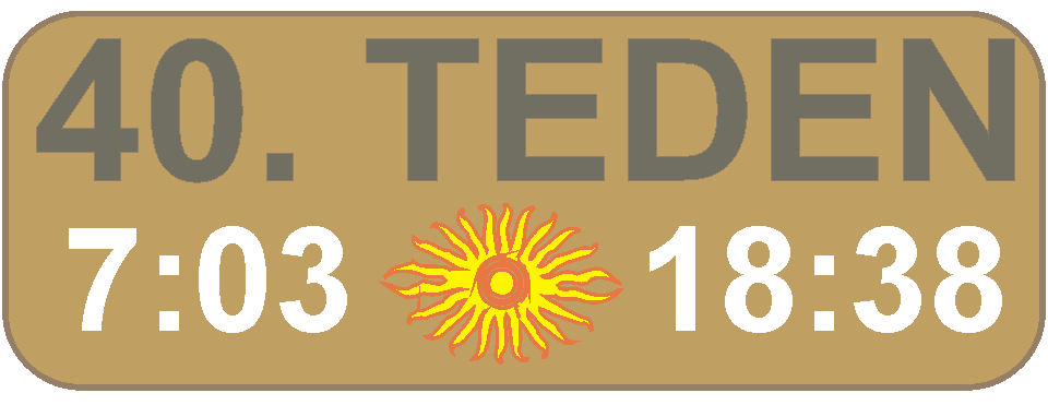 JUTRANJA in VEERNA molitev