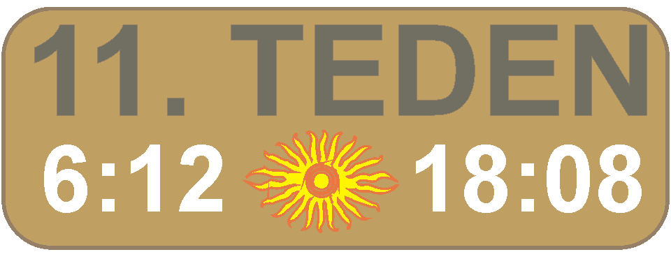 JUTRANJA in VEERNA molitev