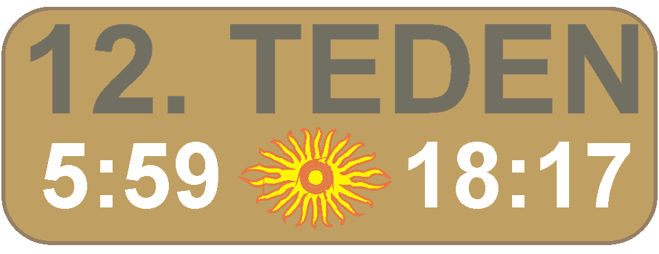 JUTRANJA in VEERNA molitev